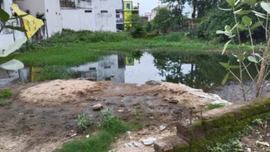 Betul Samachar : खाली प्लाटों में भरा बारिश का पानी, बीमारी का डर, एक तरफ शहर को नंबर-1 बनाने का प्रयास, तो दूसरी ओर सफाई को लेकर तमाम दावे खोखले