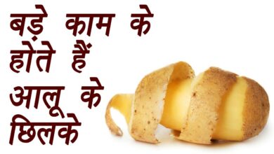 Health Benefits of Potato Peels: आलू के छिलके में छुपे हैं कई गुण, फायदे जानकर हो जाएंगे हैरान, इन तरीकों से करें इसका इस्तेमाल