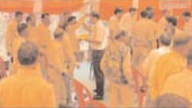 Betul News: पहली जांच समिति ठूंठ ढूंढने में नाकामयाब, दूसरी बनाई