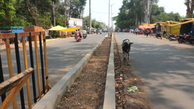 Betul College Road : कॉलेज रोड के डिवाइडरों से नहीं निकला मलबा