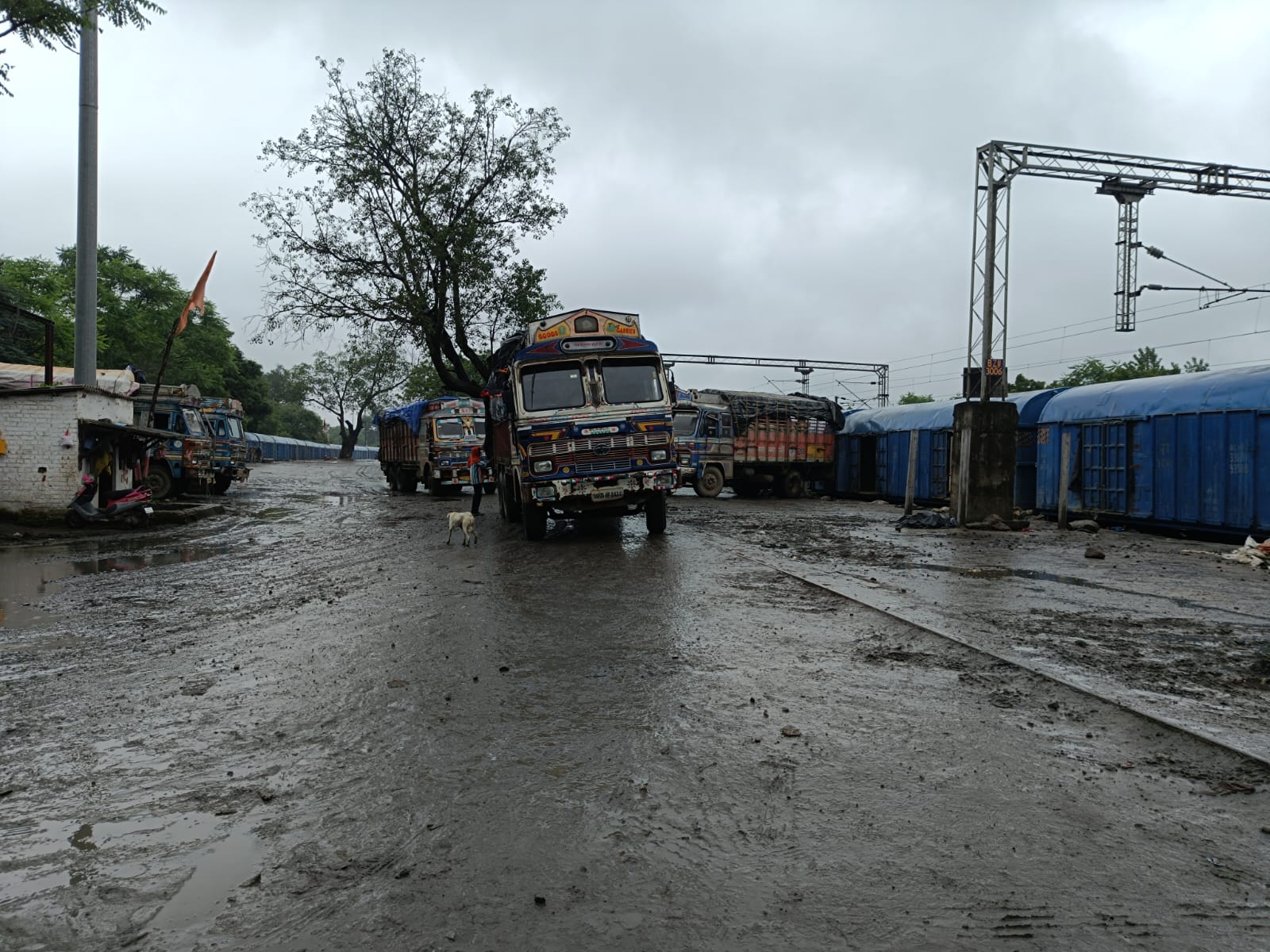 Betul Samachar: नो एंट्री जोन को लेकर व्यापारियों में दो फाड़, इसलिए बिगड़ रही शहर की यातायात व्यवस्था