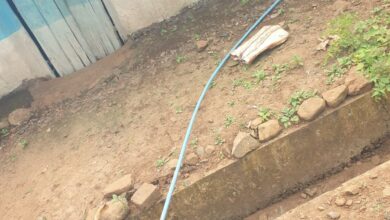 Betul Samachar : भाजपा पार्षद की दबंगई: महिला का हाथ पकड़कर घर से खींचा