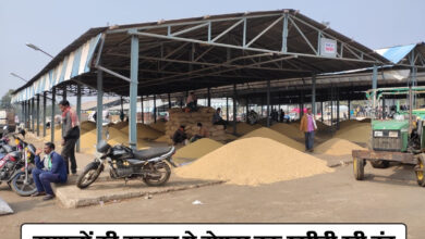 Betul Samachar: हम्मालों की हड़ताल से दोपहर तक खरीदी रही बंद