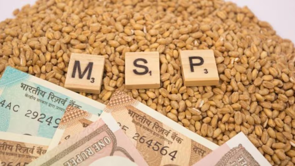 MP Wheat MSP: किसानों के लिए खुशखबरी, मोहन सरकार गेहूं का MSP बढ़ाने के साथ देगी बोनस